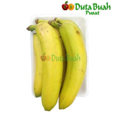 DUTA BUAH PISANG CAVENDISH DB (+-0.9gram-1kg/+-4-6buah)
