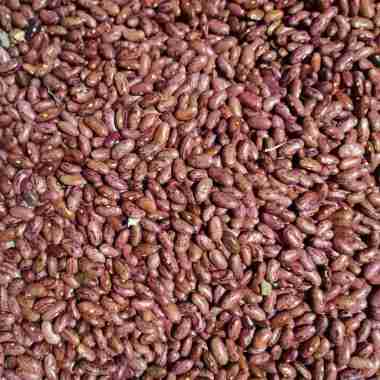 Kacang Merah Kering (1Kg) 1 kg