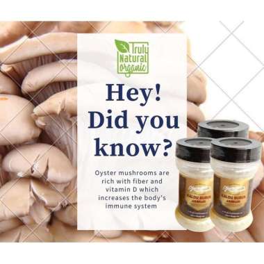 Mushroom Seasoning Powder ( Kaldu Jamur ) 250 gr - Djoeragan Rempah