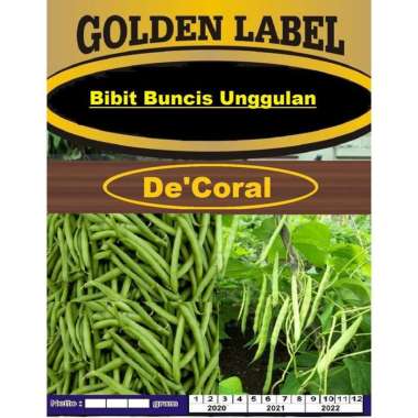 Bibit Buncis Unggulan | Benih Buncis