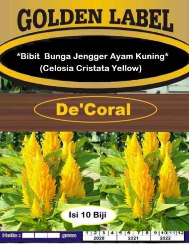 Bibit Bunga Jengger Ayam Kuning | Benih Bunga Jengger Ayam Kuning