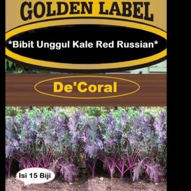 Bibit Unggul Kale Red Russian |Benih Kale Merah Russian