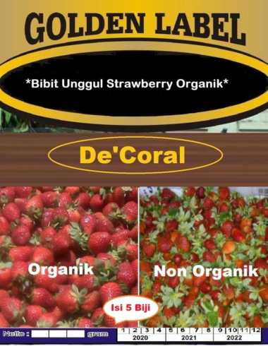 Bibit Unggul Strawberry Organik | Benih Strawberry Organik