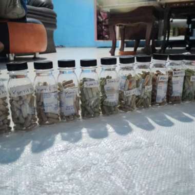 Kapsul Biji Kelor isi 100kapsul Kemasan Cantik