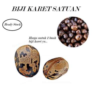 Mainan Biji Karet Aduan atau Untuk Bibit Satuan