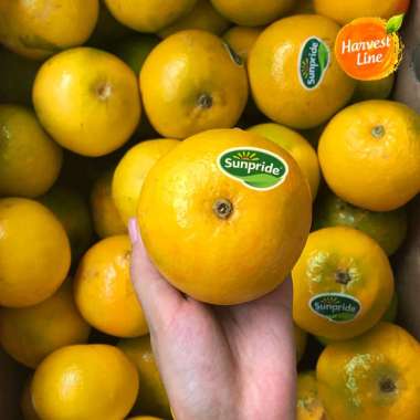 BUAH JERUK BABY SUNPRIDE 500gr [HARVEST LINE]