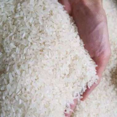 BERAS PERA IR 42 1kg repack BERAS KETUPAT LONTONG NASI GORENG