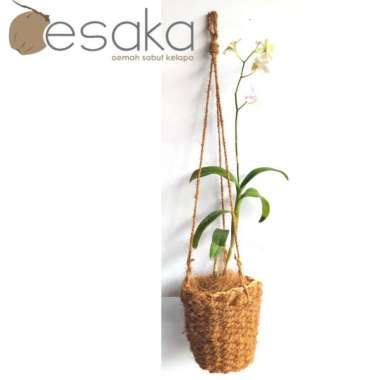 pot gantung sabut kelapa anyaman untum tanaman hias by oesaka