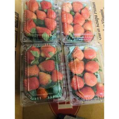 BUAH STROBERI SEGAR 500 GRAM