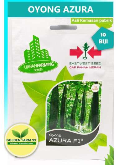 Benih Bibit Oyong AZURA F1 Harga grosir