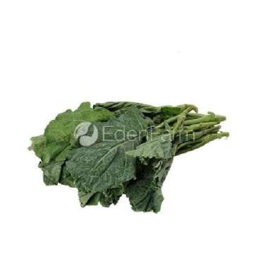 Sayur Kailan Segar 1 Kg
