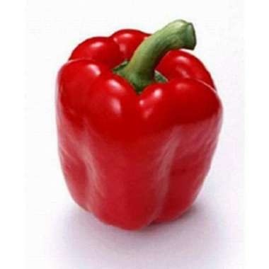 Paprika Merah Segar 1 Kg