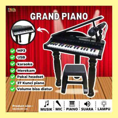 Mainan Grand Piano Anak Mainan Piano Lampu Musik Mp3 USB