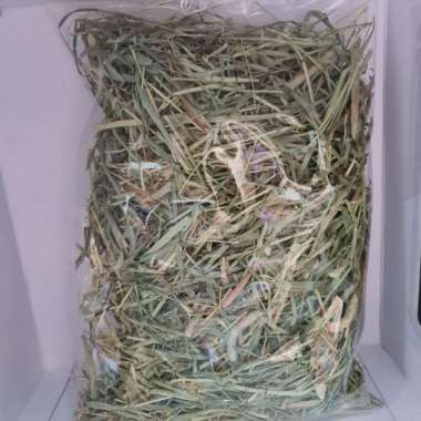 ALFALFA KING TIMOTHY HAY REPACK 125 GRAMS PAKAN KELINCI