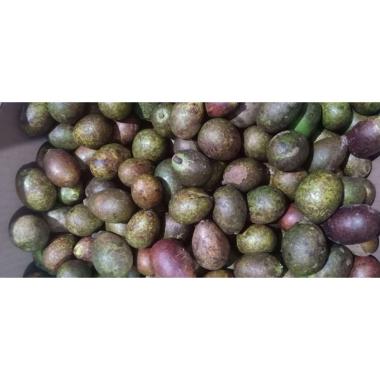 OEM Matoa Buah [250 g]
