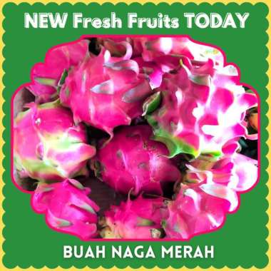 Fresh Fruits Today Buah Segar Terbaik Hari ini Buah Import dan Lokal Buah Naga Merah