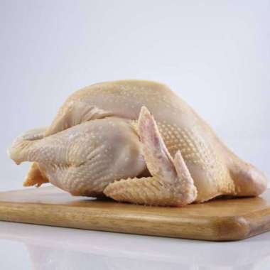 SayurHD daging ayam segar ayam kampung 1 ekor
