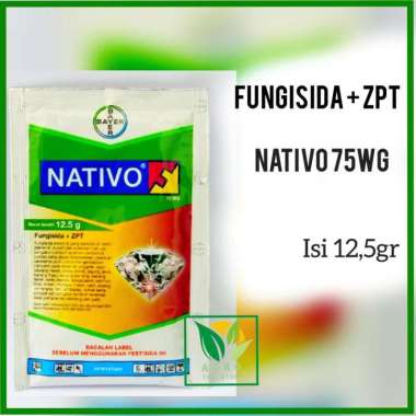 Bayer - Nativo 75 WG - Fungisida Sistemik - 12,5gram
