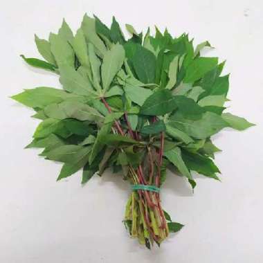 daun ubi 1 ikat
