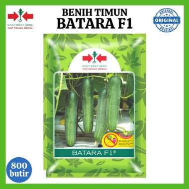 BENIH TIMUN HIBRIDA F1 BATARA 800 btr CAP PANAH MERAH Banyumas