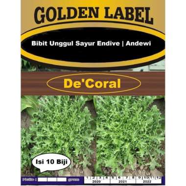 Bibit Unggul Sayur Endive Andewi | Benih Sayur Endive Andewi