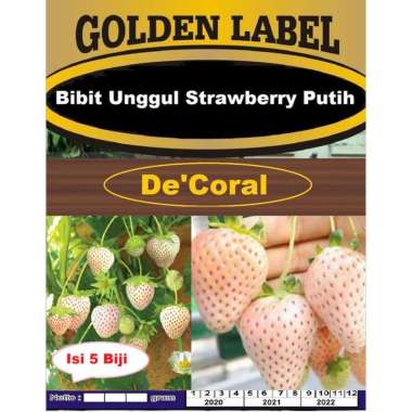 Bibit Unggul Strawberry Putih | Benih Strawberry Putih | Stroberi