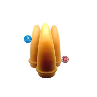 Cone Discus Cone Breeding Discus Atau Tempat Bertelur Ikan Discus AB012011