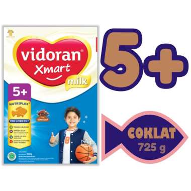 Vidoran Xmart 5