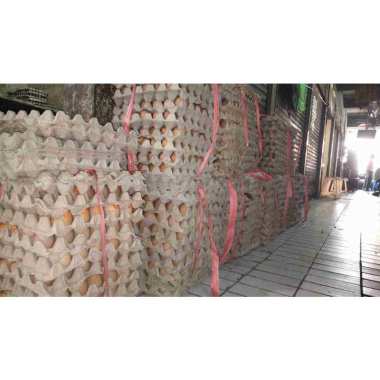 telur negri omega 1 iket/peti