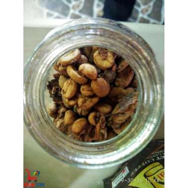 Biji kopi arabica luwak gayo 1kg