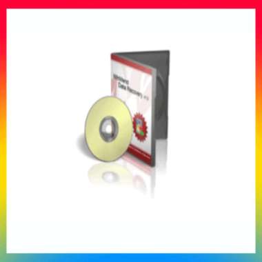 License WinMend Data Recovery Pro Lifetime