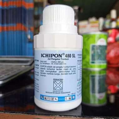 ZPT pematang buah ICHIPON 480sl 100ml