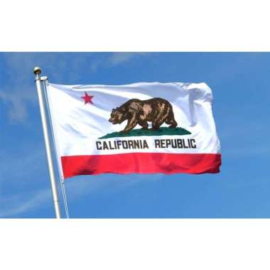 bendera Kalifornia / usa state bear california flag