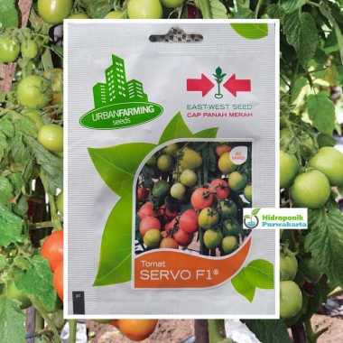 Benih Tomat Hibrida Servo F1 Isi 60 Butir Cap Panah Merah