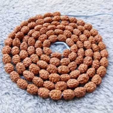 Kalung Kesehatan Tasbih Kesehatan Jenitri Rudraksha Mukhi 3