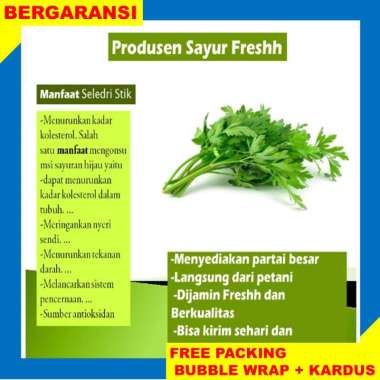 Seledri