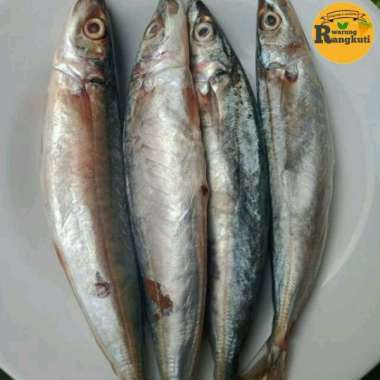 ikan layang&salem layang