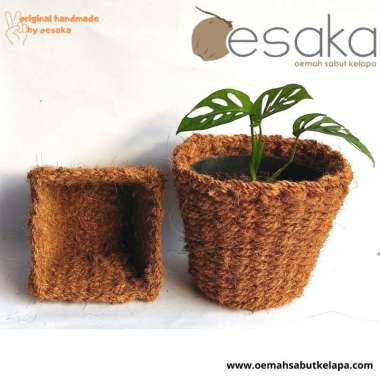 cover pot sabut kelapa 20x20 tanaman janda bolong aglonema dll
