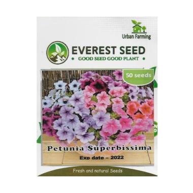 Wallpaper Jual Panda Farm Petunia Grandiflora Benih Import Uk Isi 50 For Free