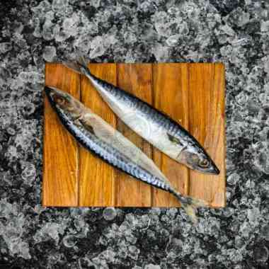 Ikan Makarel / Ikan Salem / Ikan Sarden Frozen 1Kg