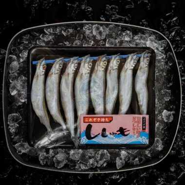 Shishamo Fish / Capelin Fish Premium Import