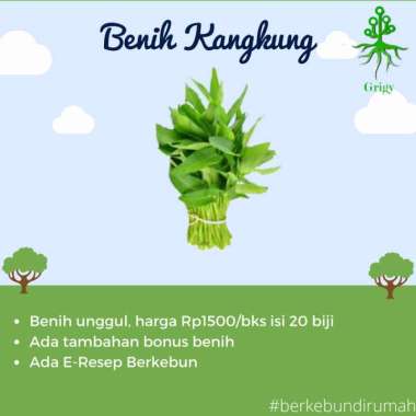 BIBIT, BENIH, BIJI KANGKUNG