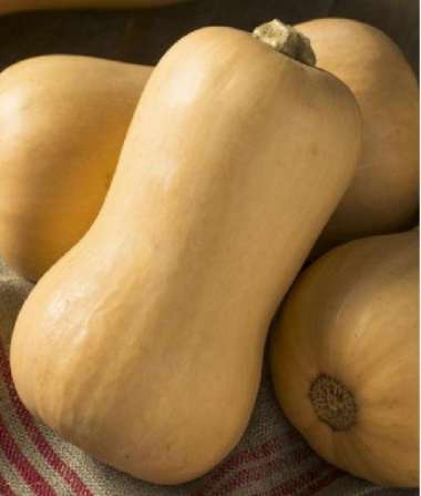 Labu Butternut Squash/ Pumpkin Butternut/ Labu Madu per Buah 0.5-1.3kg