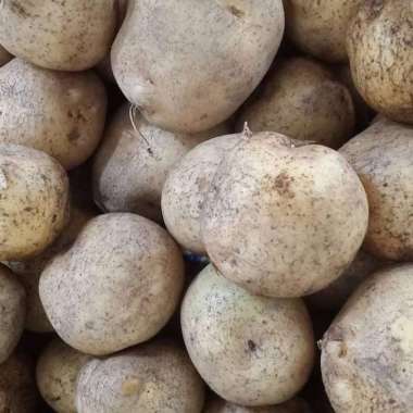 KENTANG KUNING SUPER/1 KG