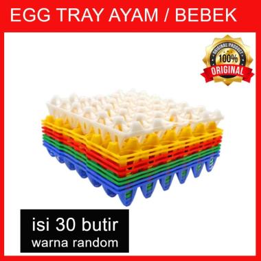 OEM Egg Tray Puyuh [90 Butir] Multicolour