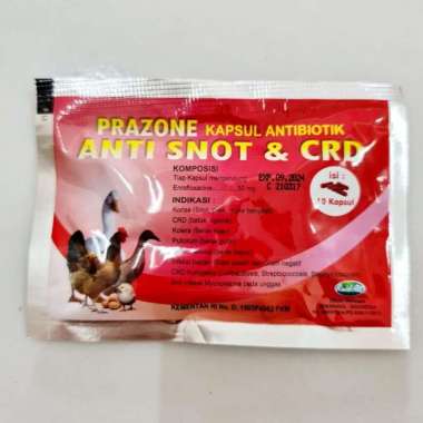 ANTI SNOT & CRD 10 kapsul Raid All - Prazone Kapsul Antibiotik