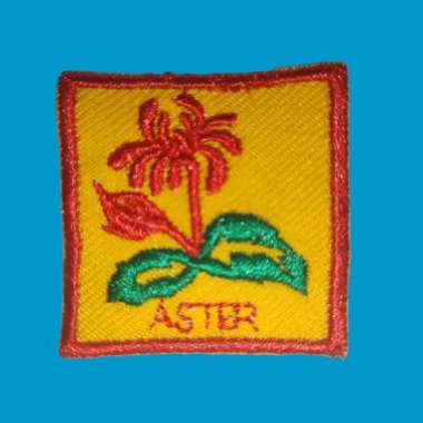 Tanda Regu Aster Putri Pramuka