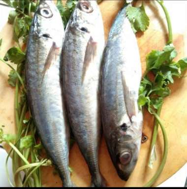 ikan kembung layang 500 gram