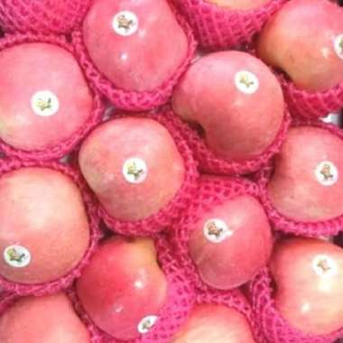 Buah Apel Fuji 1kg Buah Segar IBAZA fruitsBOX 1 kg