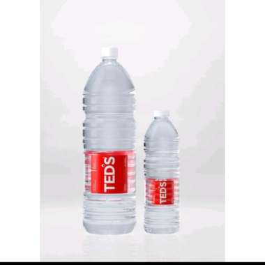 Teds 600ml Dus isi 24pcs - Gratis Ongkir